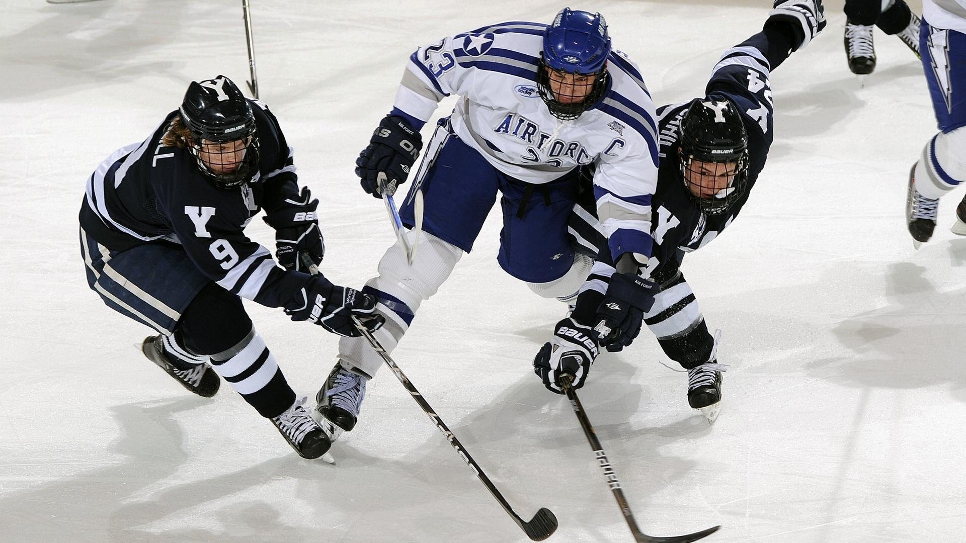 万名志愿者集结，智能服务系统上线，万人志愿服务活动